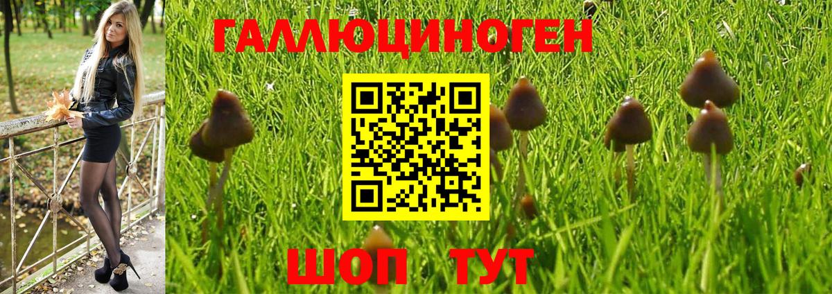 Псилоцибиновые грибы мухоморы  Апатиты 