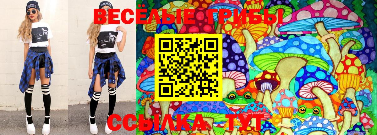 Псилоцибиновые грибы Cubensis  Галлюциногенные грибы Psilocybine cubensis  Апатиты  Вход с VPN 