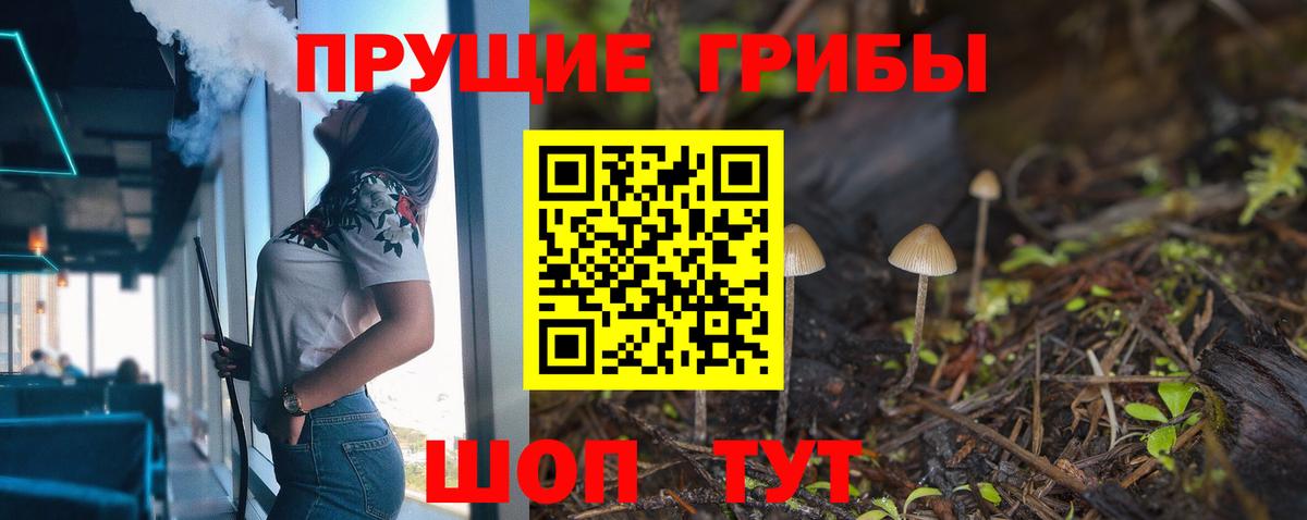 Галлюциногенные грибы GOLDEN TEACHER Апатиты